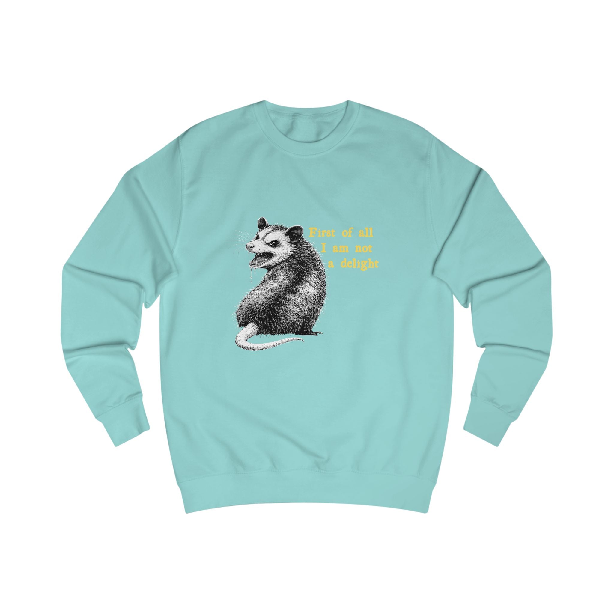 I Am NOT a Delight Crew