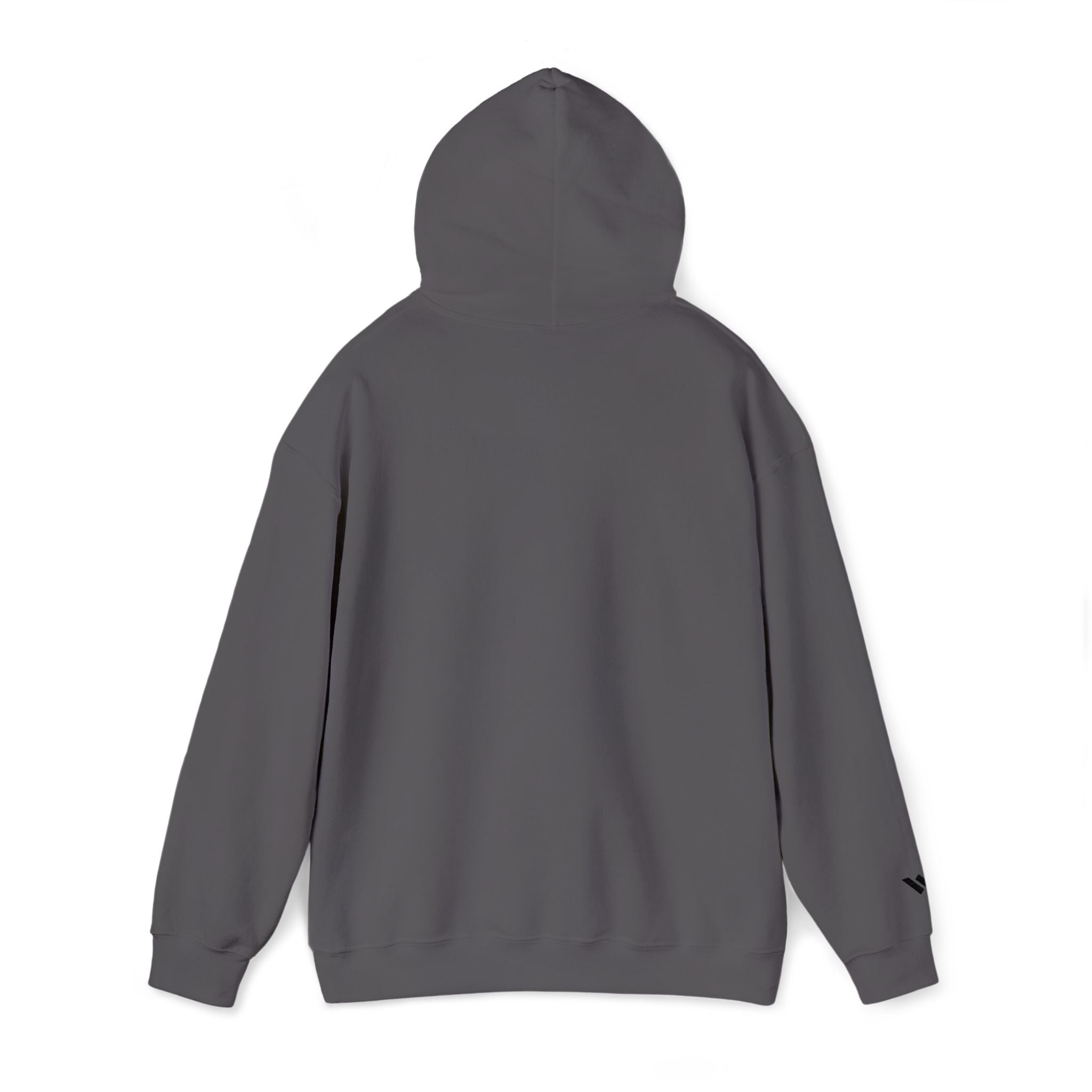 The Wanderer's Camera Hoodie